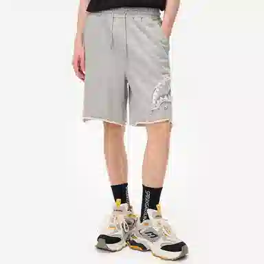 Sprayground Shorts