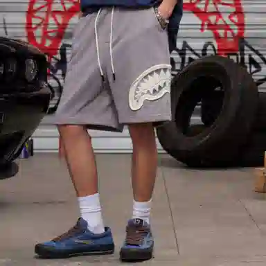 Sprayground Shorts