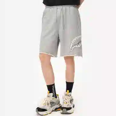 Sprayground Shorts