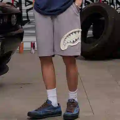 Sprayground Shorts