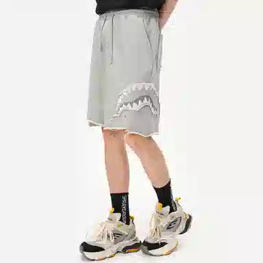 Sprayground Shorts