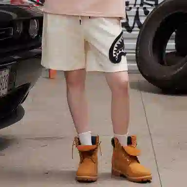 Sprayground Shorts