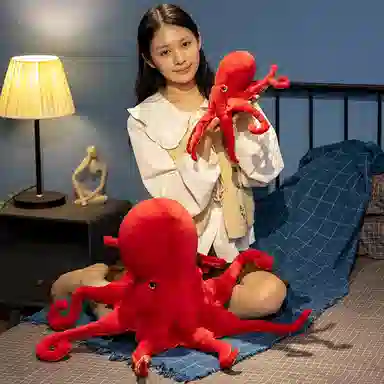 mise 40cm75cm