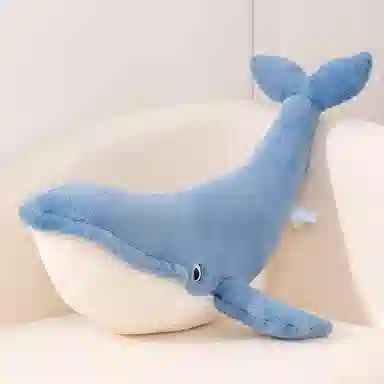 mise 75cm100cm