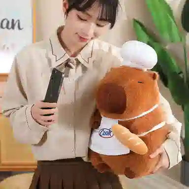 mise 35cm45cm60cm75cm