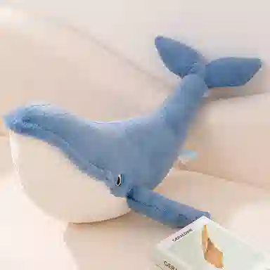mise 75cm100cm