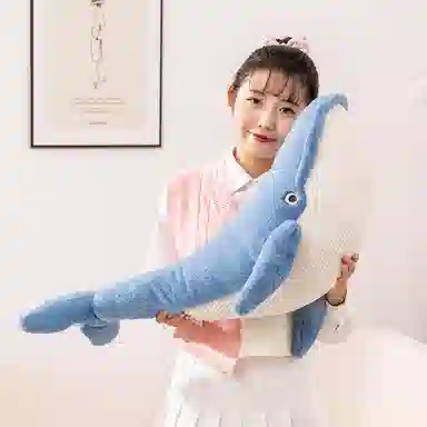 mise 75cm100cm