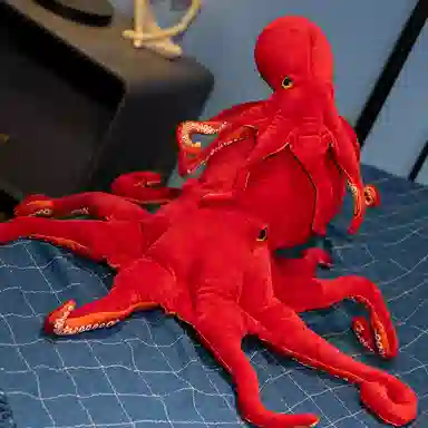 mise 40cm75cm