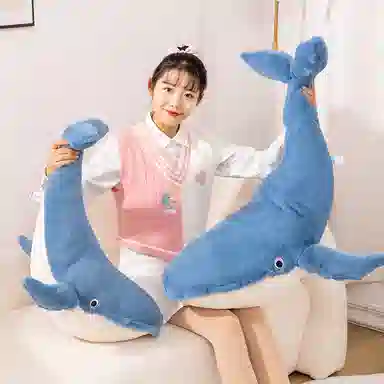 mise 75cm100cm