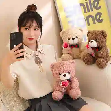 TY MODELS 25cm