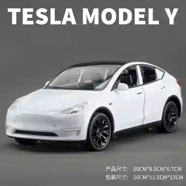 TY MODELS MODEL Y 124