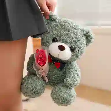TY MODELS 25cm