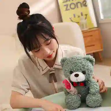 TY MODELS 25cm