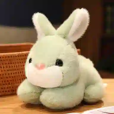 TY MODELS 20cm25cm