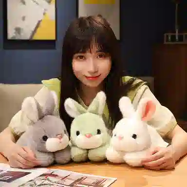 TY MODELS 20cm25cm