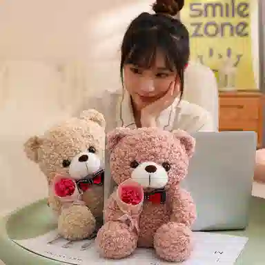 TY MODELS 25cm