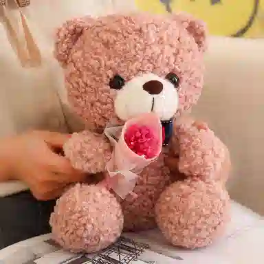 TY MODELS 25cm