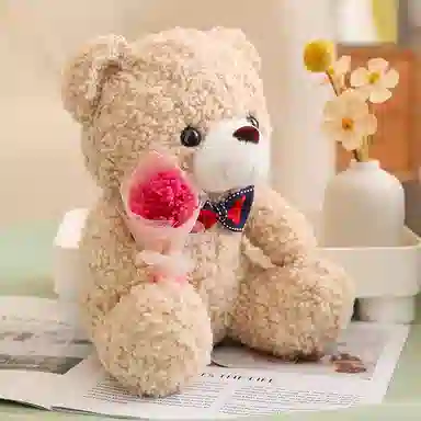 TY MODELS 25cm