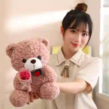 TY MODELS 25cm