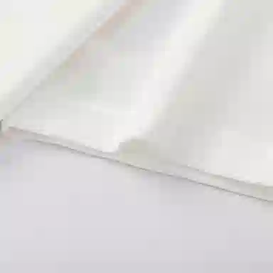 balabalaT