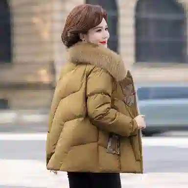 鸭鸭 休闲百搭时尚日常通勤长袖羽绒服 女款