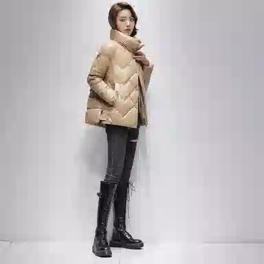 鸭鸭 经典韩版立领洋气百搭舒适羽绒服 女款