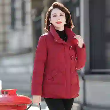 鸭鸭 洋气高贵简约舒适高级感羽绒服 女款