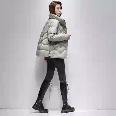 鸭鸭 经典韩版立领洋气百搭舒适羽绒服 女款