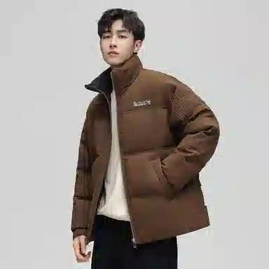 鸭鸭 加厚保暖休闲宽松无性别刺绣字母泡芙面料简约立领暗黑羽绒服外套 男款