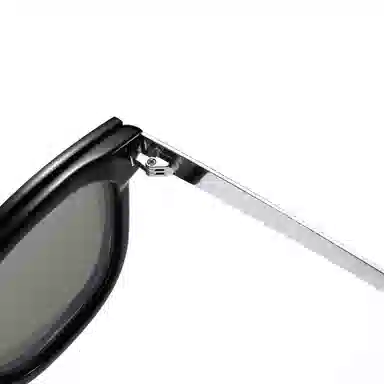 PLASTIC BRAIN PLASTIC BRAIN