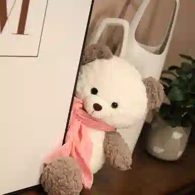 43cm