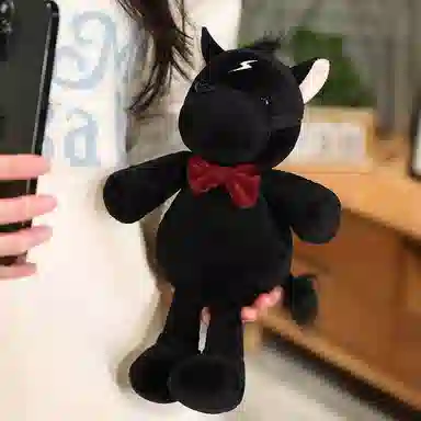 28cm