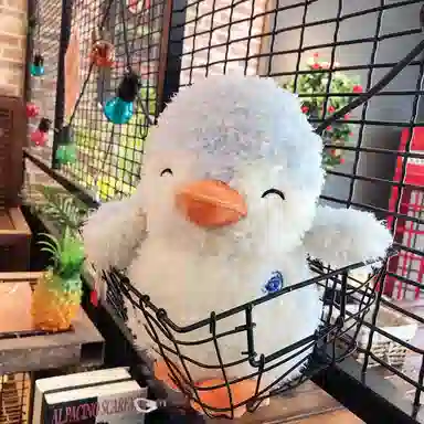 LEVENKENESS 25cm35cm