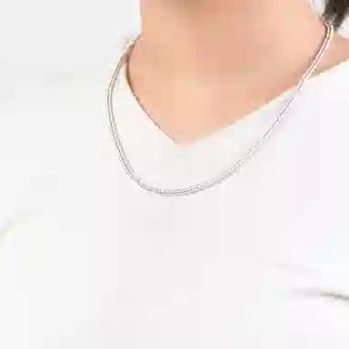 ins S925