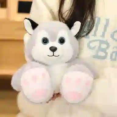 23cm