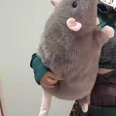 LEVENKENESS 20cm30cm50cm