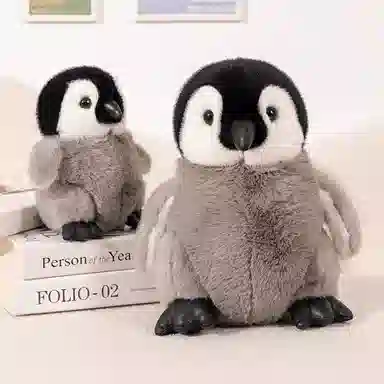 20cm30cm