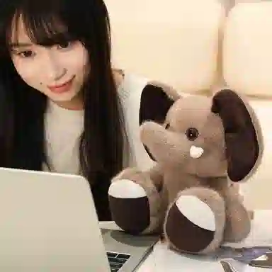23cm