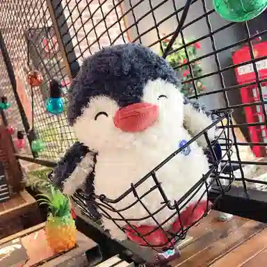 LEVENKENESS 25cm35cm