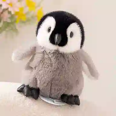 20cm30cm