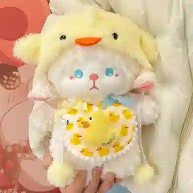 25cm