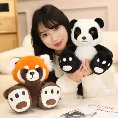 23cm