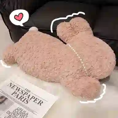 50cm65cm