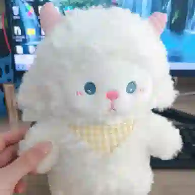 25cm