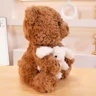 25cm35cm