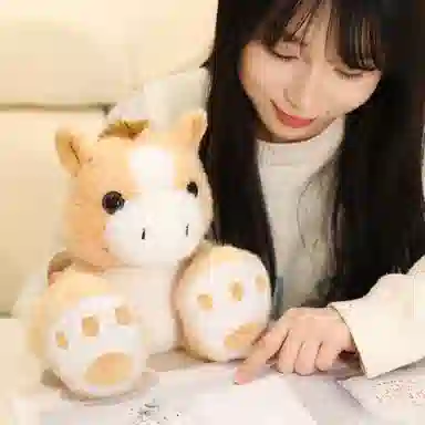 23cm