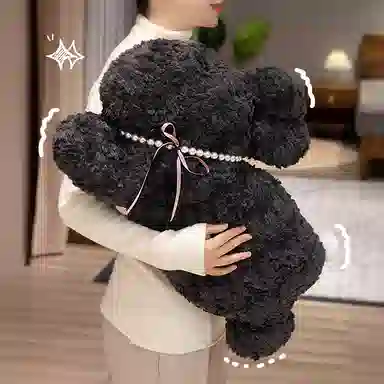 50cm65cm