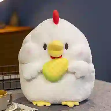 25cm30cm