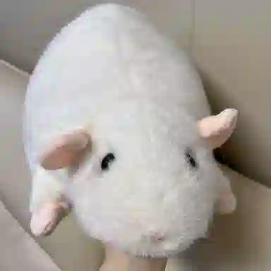 LEVENKENESS 20cm30cm50cm