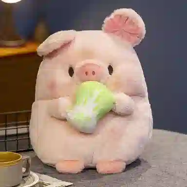 25cm30cm